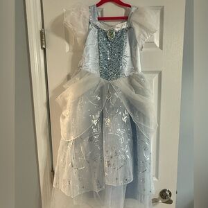Disney Princess Cinderella Costume